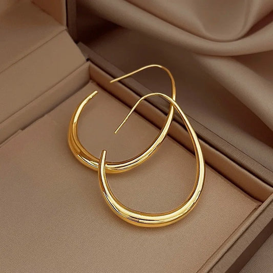 Silver Needle Geometric Oval Hoop Earrings For Women